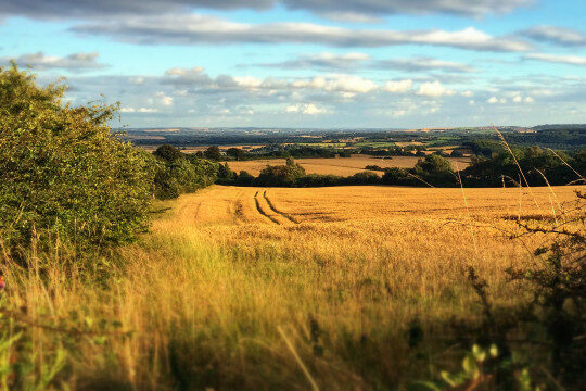 English Countryside looking across from Gateshead, close to Newcastle Upon Tyne in England, UK. Rural, Green, Dusk, Sun. Beautiful @mrarteest via Twenty20